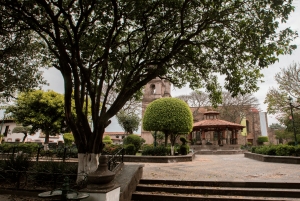 Desde Ciudad de México: tour privado a Valle de Bravo