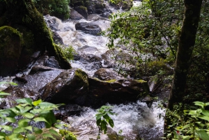 Desde Ciudad de México: tour privado a Valle de Bravo