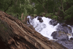 Desde Ciudad de México: tour privado a Valle de Bravo