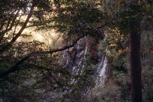 Desde Ciudad de México: tour privado a Valle de Bravo