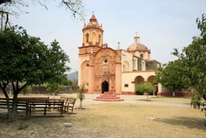 Desde Ciudad de México: excursión privada de 1 día a Tula y Querétaro