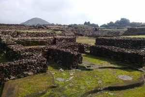 Ciudad de México: Tour a Pie Coyoacán Cultural Historia y Gastronomía.