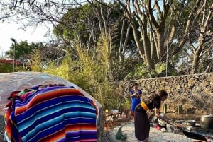 Tepoztlan: Temazcal Ceremony Day Trip from Mexico City