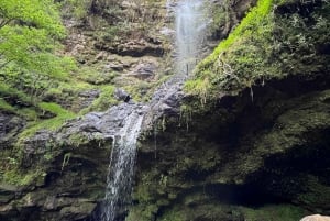 From Mexico City: Tour to 10 waterfalls in Hidalgo