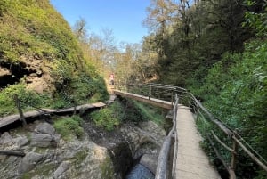 From Mexico City: Tour to 10 waterfalls in Hidalgo