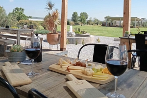 Desde Ciudad de México: Ruta gastronómica Vino, Queso y Arte por Queretaro