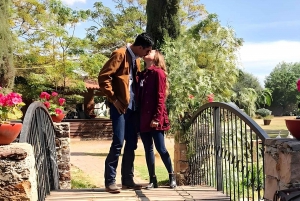 Desde Ciudad de México: Ruta gastronómica Vino, Queso y Arte por Queretaro