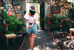 Desde Ciudad de México: Ruta gastronómica Vino, Queso y Arte por Queretaro