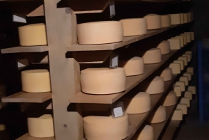 Desde Ciudad de México: Ruta gastronómica Vino, Queso y Arte por Queretaro