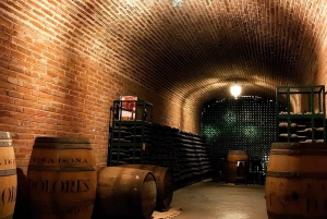 Desde Ciudad de México: Ruta gastronómica Vino, Queso y Arte por Queretaro