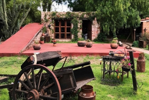 Desde Ciudad de México: Ruta gastronómica Vino, Queso y Arte por Queretaro