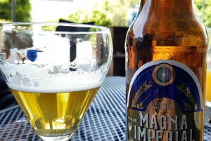 Desde Ciudad de México: Ruta gastronómica Vino, Queso y Arte por Queretaro