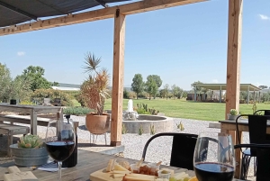 Desde Ciudad de México: Ruta gastronómica Vino, Queso y Arte por Queretaro