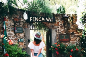 Desde Ciudad de México: Ruta gastronómica Vino, Queso y Arte por Queretaro