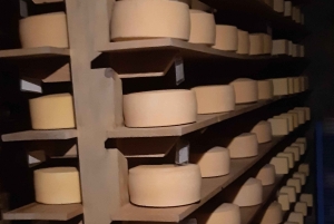 Desde Ciudad de México: Ruta gastronómica Vino, Queso y Arte por Queretaro