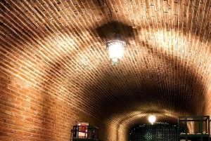 Desde Ciudad de México: Ruta gastronómica Vino, Queso y Arte por Queretaro