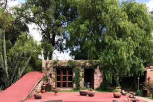 Desde Ciudad de México: Ruta gastronómica Vino, Queso y Arte por Queretaro