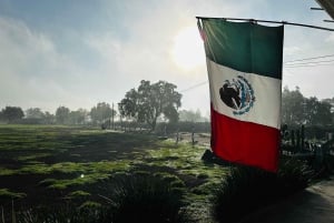 desde Ciudad de México: Vuelo en globo sobre las pirámides de Teotihuacán