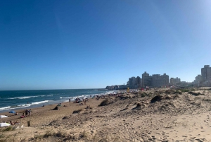 Desde Montevideo: tour guiado de un día de Punta del Este