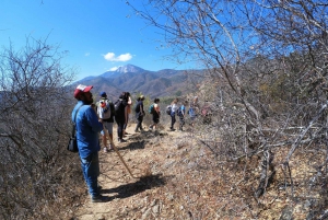 From Oaxaca: Hierve el Agua Hike and Mezcal Tour