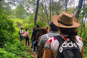 Desde Oaxaca: Hierve el Agua, Mitla, Árbol del Tule y Tour del Mezcal