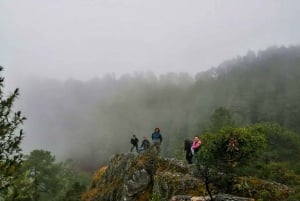 Desde Oaxaca: Hierve el Agua, Mitla, Árbol del Tule y Tour del Mezcal