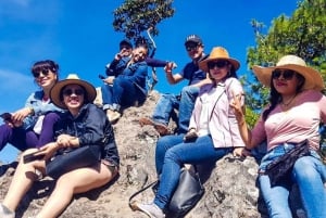 Desde Oaxaca: Hierve el Agua, Mitla, Árbol del Tule y Tour del Mezcal