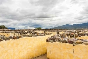 From Oaxaca: Zapotec Legacy Lambityeco, Yagul and Dainzú in a single tour