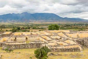 From Oaxaca: Zapotec Legacy Lambityeco, Yagul and Dainzú in a single tour