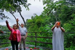 From Palenque: Lacandone Mayan Ceremony Private Experience