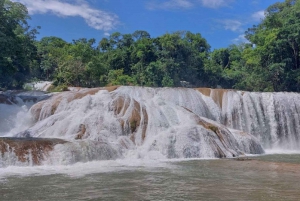 From Palenque: Misol-Ha and Agua Azul Waterfalls Tour