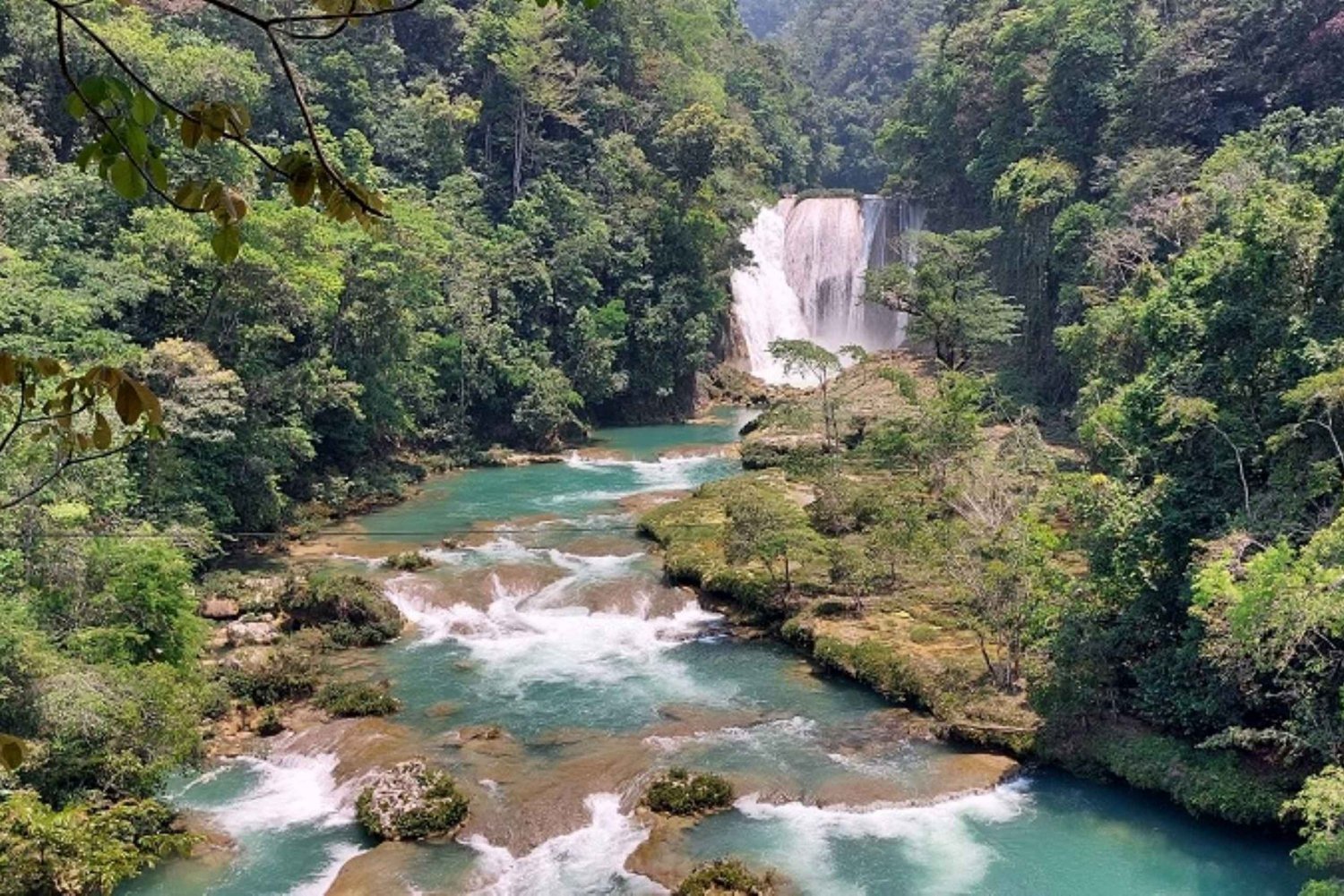 From Palenque: Roberto Barrios and El Salto Waterfalls Tour