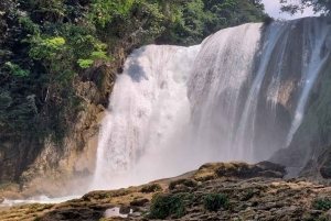 From Palenque: Roberto Barrios and El Salto Waterfalls Tour