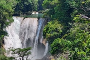 From Palenque: Roberto Barrios and El Salto Waterfalls Tour