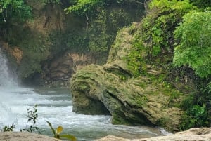 From Palenque: Roberto Barrios and El Salto Waterfalls Tour