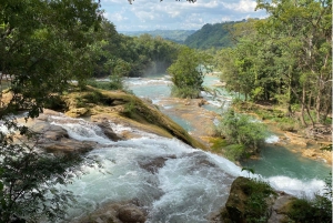 Desde Palenque: Ruinas y cascadas de Misol-ha y Agua Azul