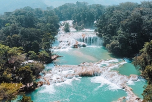 Desde Palenque: Ruinas y cascadas de Misol-ha y Agua Azul