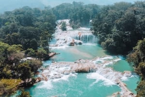 Desde Palenque: Cascadas Misol-ha y Agua Azul.