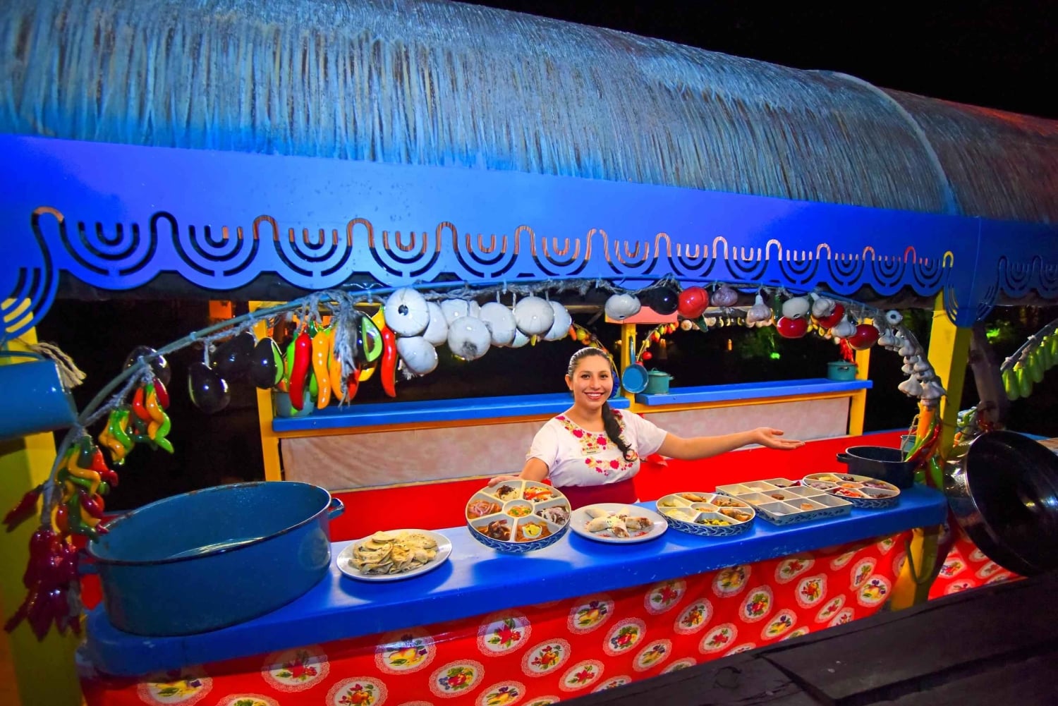 Desde Playa del Carmen: Entrada al Parque Xoximilco Todo Incluido