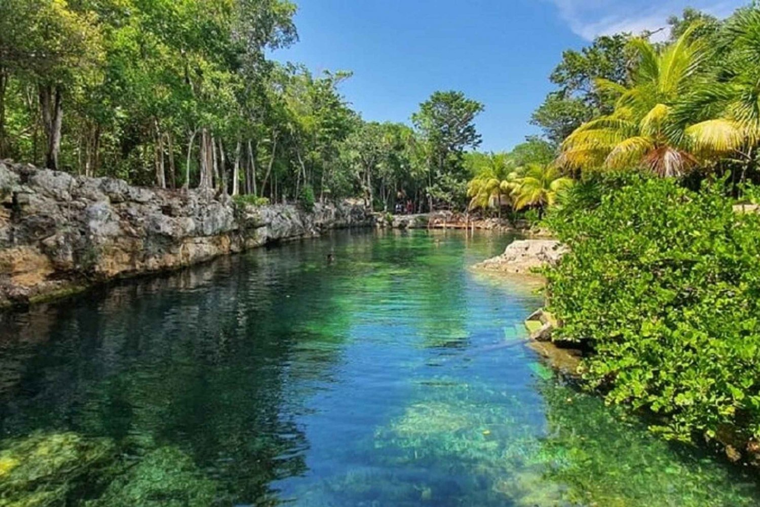 Tour 4 Cenotes + Zipline (optional)