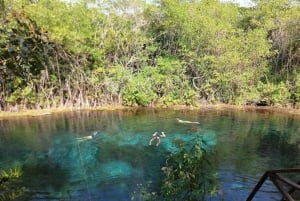 From Playa del Carmen: Cave and Open Cenote