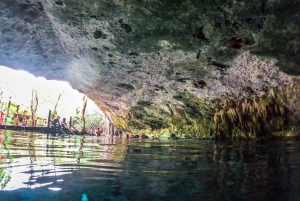 From Playa del Carmen: Cenote and Swim with Turtles Tour