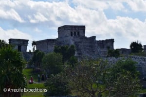 From Playa del Carmen: Tulum City