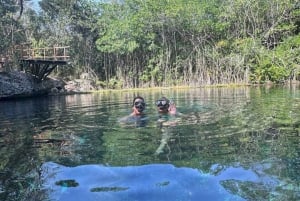 From Playa del Carmen: Tulum Coba and Cenote