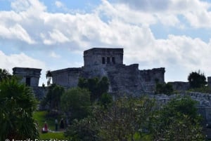 From Playa del Carmen: Tulum Coba and Cenote