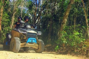 Desde Playa del Carmen/Tulum: Aventura en el Parque de la Adrenalina Maya