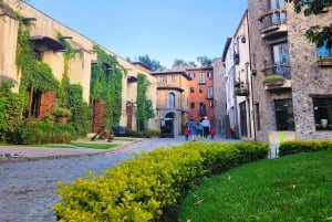 From Puebla: CHAUTLA & VAL'QUIRICO PRIVATE TOUR