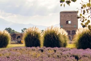 From Puebla: CHAUTLA & VAL'QUIRICO PRIVATE TOUR