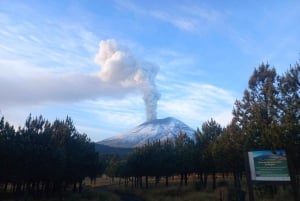 Desde Puebla: Excursión de un día a pie por el Iztaccíhuatl | Nivel 2