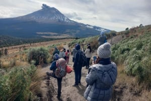 Desde Puebla: Excursión de un día a pie por el Iztaccíhuatl | Nivel 2